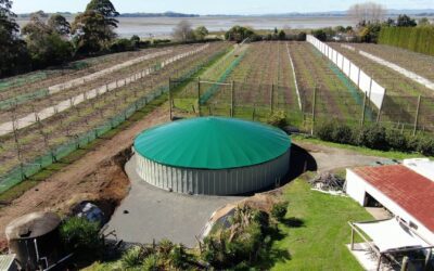 Choosing the best liquid storage solution: KlipTank vs. Bladders vs. Ponds