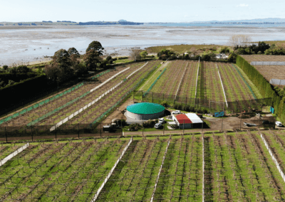 KlipTank - Miers Case Study