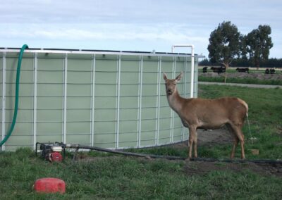 KlipTank Uncovered Tank