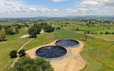 Seven intriguing facts about KlipTank
