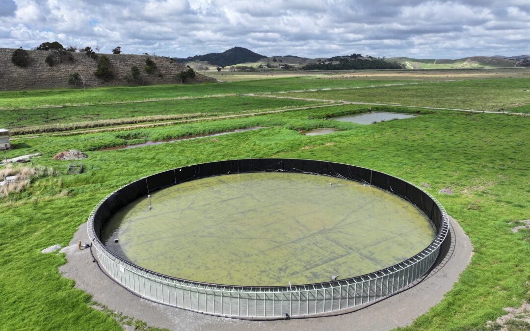 Tanks vs Bladders: Why it’s time to rethink effluent storage